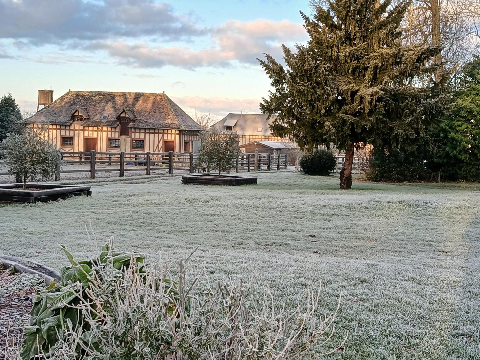 Bed and Breakfast Domaine Des Ifs Le Pin  Екстер'єр фото