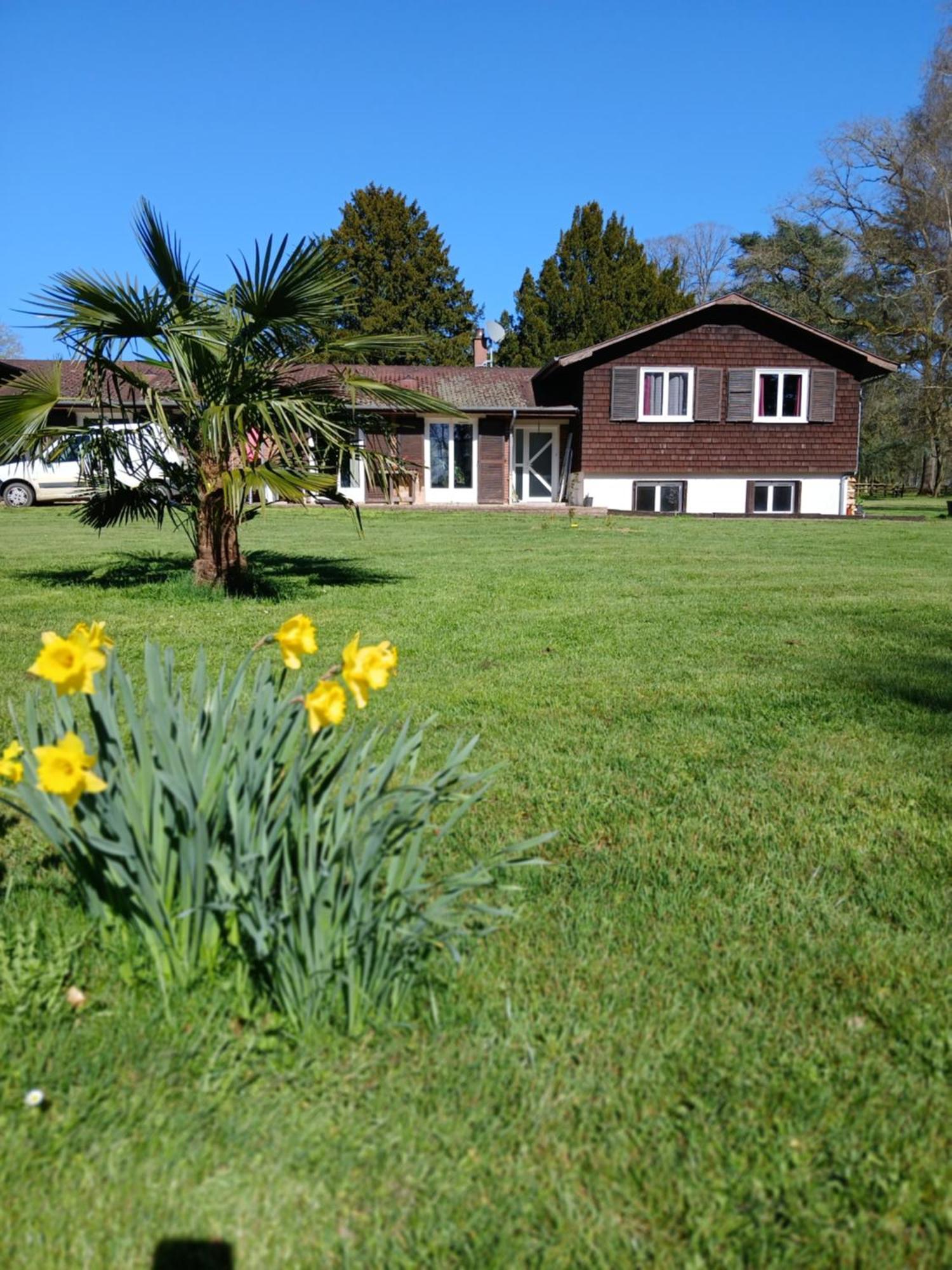 Bed and Breakfast Domaine Des Ifs Le Pin  Екстер'єр фото