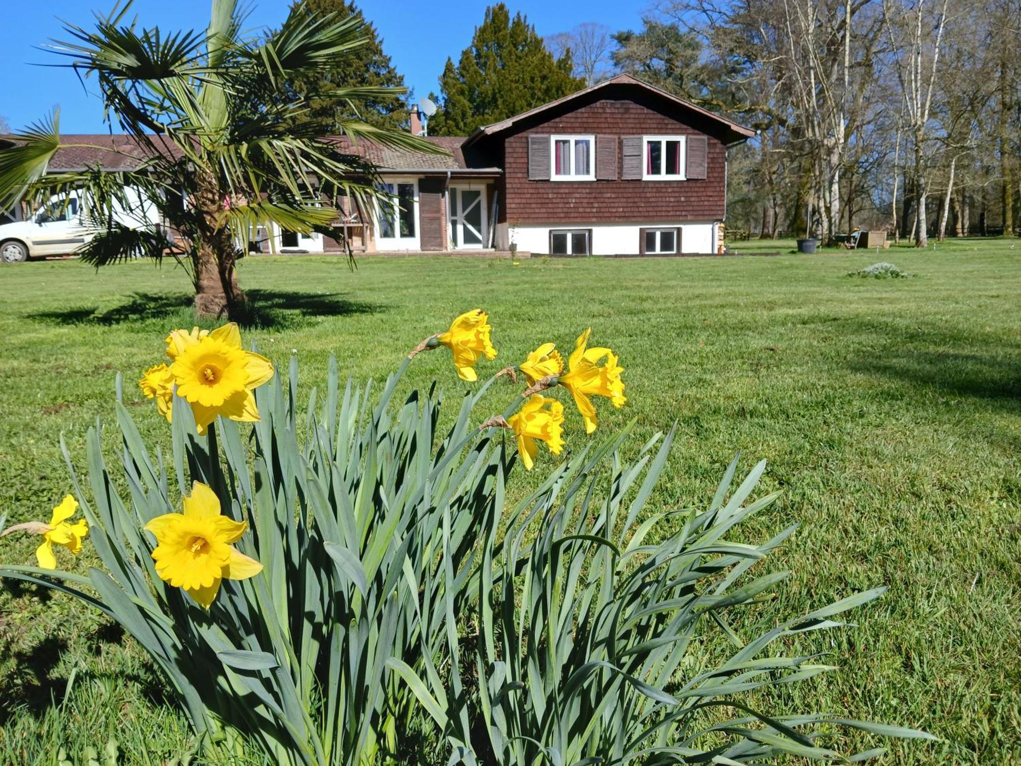 Bed and Breakfast Domaine Des Ifs Le Pin  Екстер'єр фото