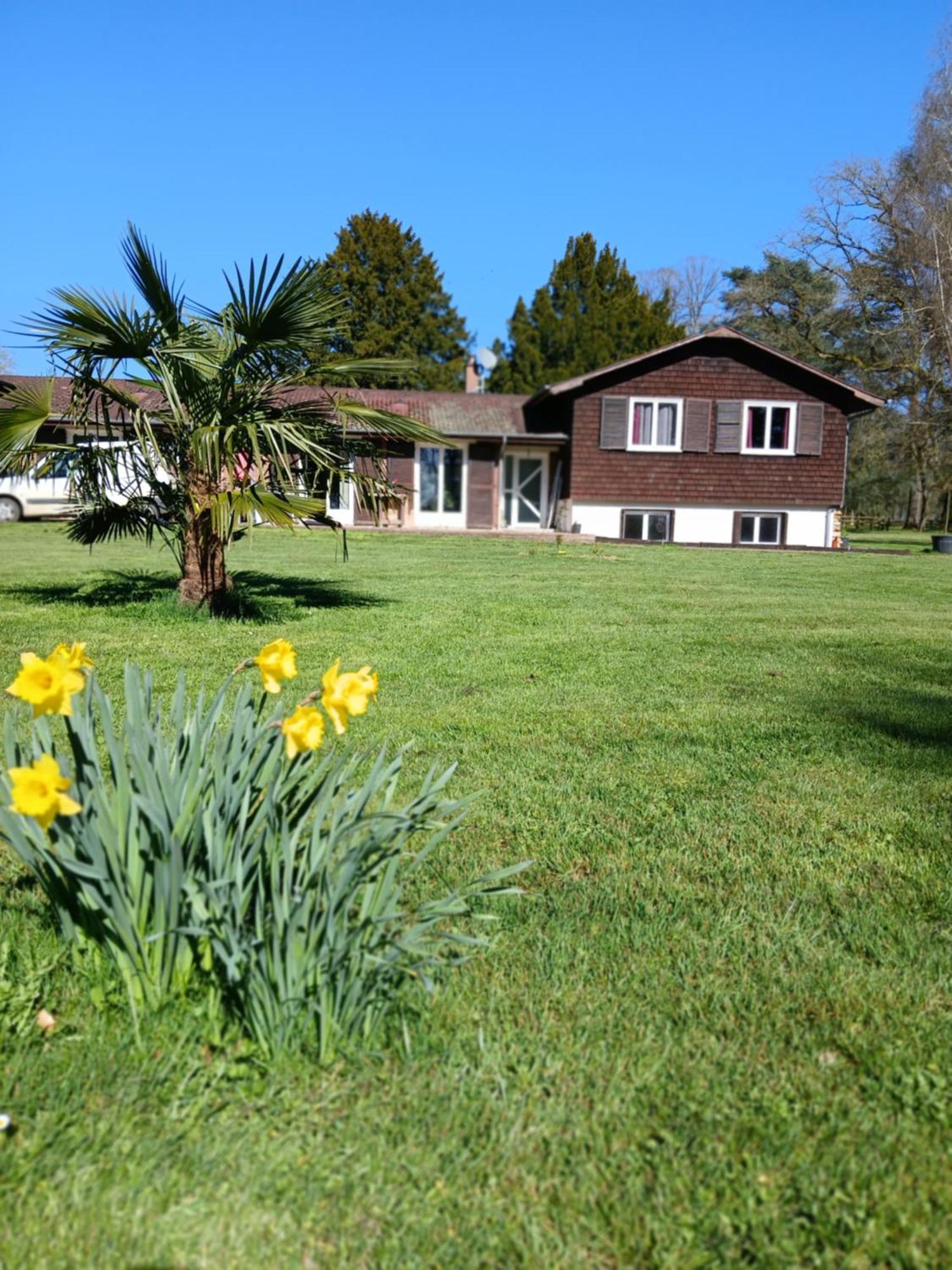 Bed and Breakfast Domaine Des Ifs Le Pin  Екстер'єр фото